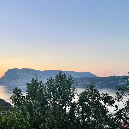 San Teodoro Punta Est Splendida Vista Mare * San Teodoro (Sardinia)